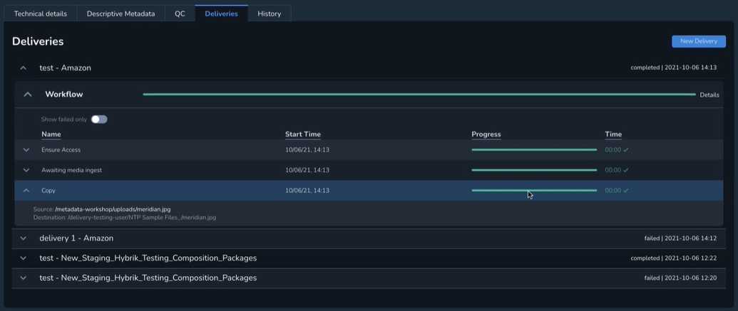  The Delivery Workflow modal
