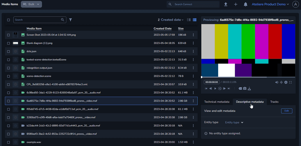 The Descriptive Metadata tab