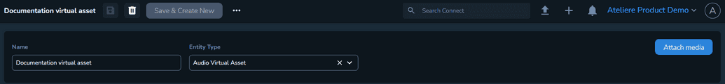 Virtual Asset